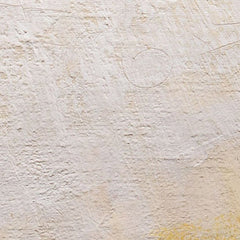 2_6a706ba7678877258c0efb0f.jpg