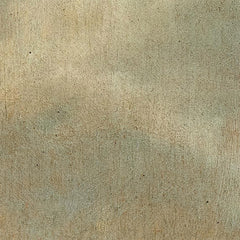 2_6a7247e0aab660359991516f.jpg