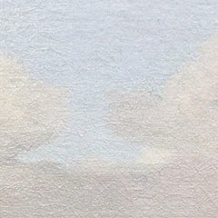 2_6a79bdb5f384c90fe69985cc.jpg