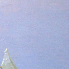 2_6a7c3310f384c90fe6998624.jpg
