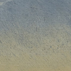 2_6a7c4fedf384c90fe699862c.jpg