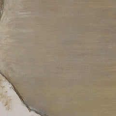 2_6a7c754794c492207f62aecf.jpg