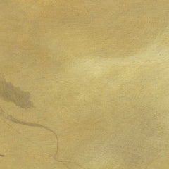2_6a7ce0ab94c492207f62af2e.jpg