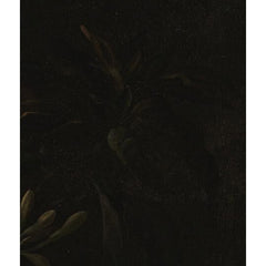 2_6a7d5fe694c492207f62af32.jpg
