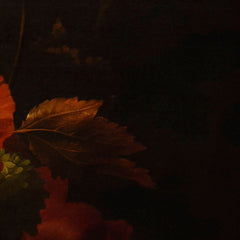 2_6a7d7c3e94c492207f62af4d.jpg