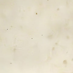 2_6a8eb178bcc253d8bafc3d29.jpg