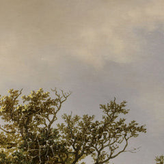 2_6a91f3a5ef0d0e364ed782b2.jpg