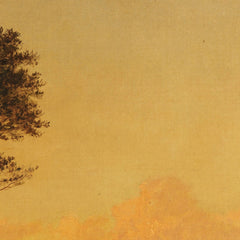 2_6a959cb7ef0d0e364ed78311.jpg