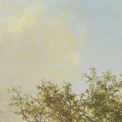 2_6a980e1bef0d0e364ed7838e.jpg