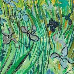 Field with Irises near Arles by Vincent van Gogh - 3_66488f03bc76b73548b8c992