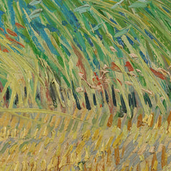 Wheatfield with Partridge by Vincent van Gogh - 3_66489c9abc76b73548b8c9ed