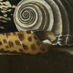 Shells on a Stone Plinth by Adriaen Coorte - 3_66fe86888213847b6f357c3e
