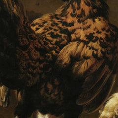 A Rooster and Turkey Fighting by Melchior de Hondecoeter - 3_671045d4762cab4eff78720d