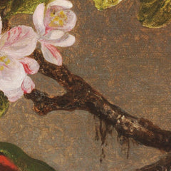 Hummingbird and Apple Blossoms by Martin Johnson Heade - 3_67312d1812f9211d49d3d74a