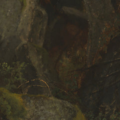 Study of Rocks in Pearson's Ravine by Asher Brown Durand - 3_67392fd7746ff704b89f893b