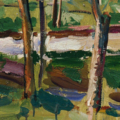 Landscape near Lind-Sternberg by Felix Esterl - 3_673ca6545e0c5e198f5ec5c0
