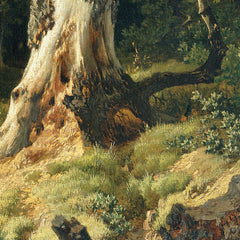 Oak forest by Remigius Adrianus van Haanen - 3_673cad7d5e0c5e198f5ec5ec
