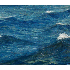 Bora at Brioni by Paul Ress - 3_673cd2e05e0c5e198f5ec6a5