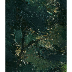 Trees by the Water by Egge Sturm-Skrla - 3_673cdd495e0c5e198f5ec6d9