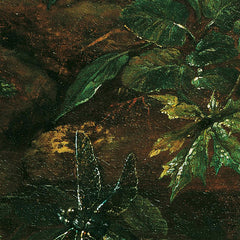 Patch of Grass with Thistle, Frogs, and Dragonfly by Franz Michael Siegmund von Purgau the Elder - 3_673cdf385e0c5e198f5ec712