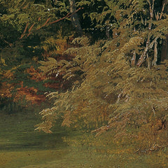 Forest landscape in Lower Austria by Anton Altmann der Jüngere - 3_67438084faa684e1cf4ba698