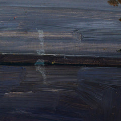 Starnberg Lake by Wilhelm Trübner - 3_6743876dfaa684e1cf4ba718