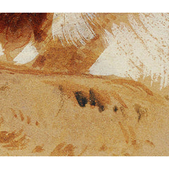 Dog's Head by Johann Matthias Ranftl - 3_674484c0faa684e1cf4ba771