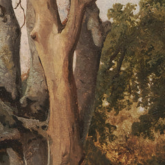 Woodland Scene with a Dead Tree by Hermann Carmiencke - 3_67674005b7c995d9501640b4