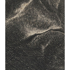 Old man with beard, fur cap, and velvet cloak by Rembrandt van Rijn - 3_6845fb47489bc5bada5cf6f8