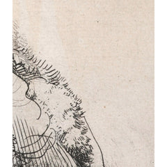 Bearded man, in a furred oriental cap and robe by Rembrandt van Rijn - 3_68460352489bc5bada5cf74e