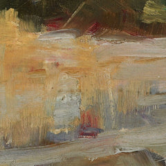 Homestead, Lake Wakatipu, Queenstown, No.1 by Edward Friström - 3_684609f5489bc5bada5cf79c