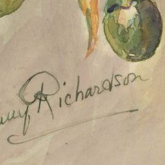 Solanum aviculare by Miss Fanny Richardson - 3_6846aa341483fa5b3555901b