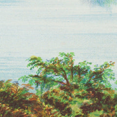 New Zealand Graphic and Descriptive. Lake Taupo by Charles Decimus Barraud - 3_6846b1eb1483fa5b355590cc