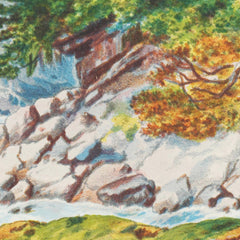 New Zealand Graphic and Descriptive. Otira Gorge, West Coast Road by Charles Decimus Barraud - 3_6846db6e1483fa5b35559192