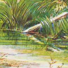 New Zealand Graphic and Descriptive. Mount Alford by Charles Decimus Barraud - 3_6846dd021483fa5b355591af