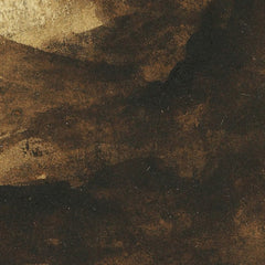 Hermit by Petrus van der Velden - 3_6846ded71483fa5b355591d0
