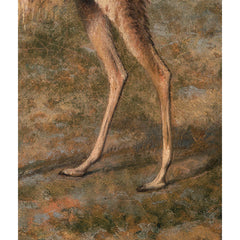 3_69b43dfc3dbd5d2a1d8c770d.jpg