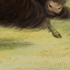 3_69baaea901ec83eca964ee29.jpg