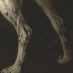 3_69e0917dc1725c2331acd86a.jpg
