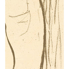 3_69e099a3c1725c2331acd899.jpg