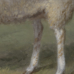 3_69e38660c1725c2331acdce0.jpg