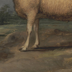 3_69e386b5c1725c2331acdce6.jpg