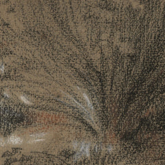 3_69e5101a123e4f587a6cda57.jpg
