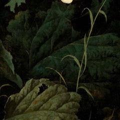 3_6a2fe8bbeb9867091b06e18f.jpg