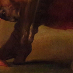 3_6a316e33eb9867091b06e1ee.jpg