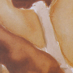 3_6a38e98554744a3abfcf8206.jpg