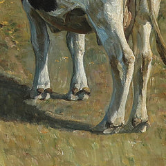 3_6a67c3ad8ec78a437de2acdf.jpg
