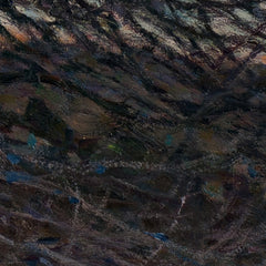 3_6a70e466678877258c0efb35.jpg