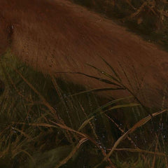 3_6a7c32ddf384c90fe6998616.jpg