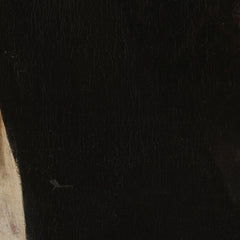 3_6a956a27ef0d0e364ed782e2.jpg
